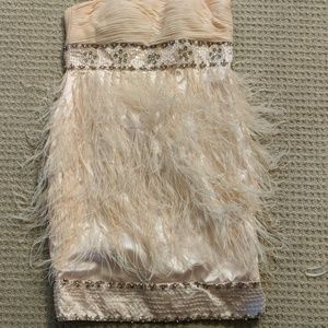 Pink feathered dress